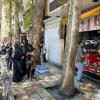 ۲۲متر پرتردد و شلوغ/فعال/سند تک برگ