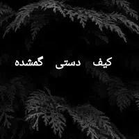 کیف دستی گمشده