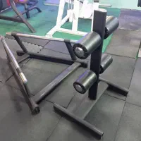 شنا سوئدی ـ خرک هالتر -پارالل