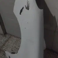 گلگیر بی رنگ ۲۰۶