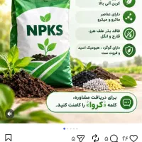 جذب نیروی کار ی