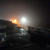 نیروی کار در دامداری