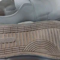 کفش درحدنو|کیف، کفش، کمربند|قم, هفت تیر|دیوار