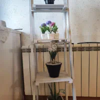 اسنتد چوبی همراه گلدن