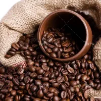 فروش قهوه فله