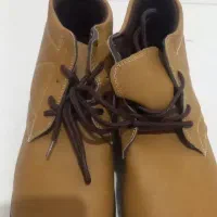 کفش سایز ۴۲