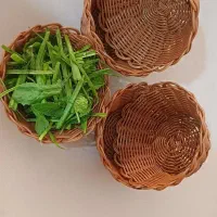سبد سبزی