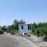 باغ وباغچه/۲۵۶متری/سندتک برگ/مسیرآسفالت|فروش زمین و ملک کلنگی|تهران, شهرک ولیعصر جنوبی|دیوار