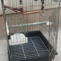 یکسری قفس پرنده سالم