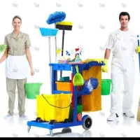 نظافت منزل بانیرو وسواسی