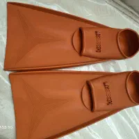فین شنا و تخته آموزشی