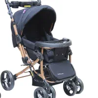 کالسکه دلیجان مدل بنیتا