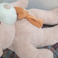 خرس(شاسخین)تدی مارک اسپریت وارداتی