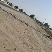 فروش زمین  حسن لنگی|فروش زمین و ملک کلنگی|شمیل, |دیوار