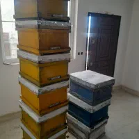 ده عدد کندو خالی