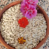 خوراکی های خوشمزه خونگی