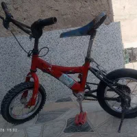 دچرخه12
