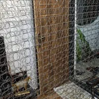 فنر طبی خوشخواب|تشک تختخواب|بم, |دیوار