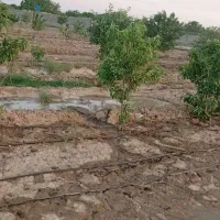 باغچه نقلی ویلایی ۳۷۰متر