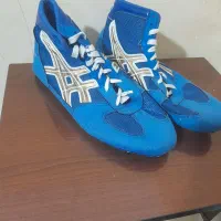 کفش سالنی درحد