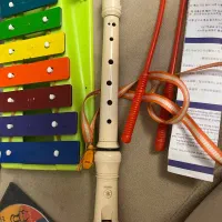 بلز و فلوت|سازهای بادی|تهران, لویزان|دیوار