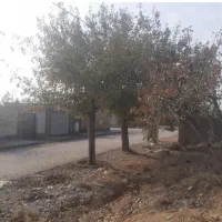 ملک مسکونی ۵۵۰متر