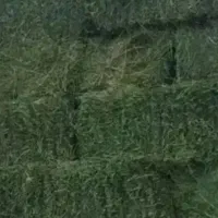 یونجه  حدود ۶۰۰من وکاه گندم حدود ۴۰۰من