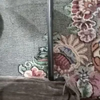 گوشی شیامی ردمی نوت ۹|موبایل|مشهد, توس (بلوار توس)|دیوار