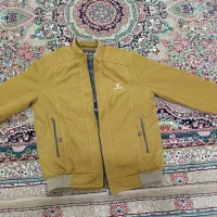 کاپشن خردلی