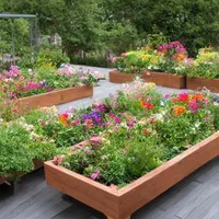 آبیاری قطره ای اتوماتیک|خدمات باغبانی و درختکاری|رشت, فرودگاه سردار جنگل رشت|دیوار