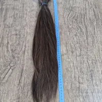 موی طبیعی|آرایشگاه و سالن‌های زیبایی|محمدشهر, محمدشهر|دیوار