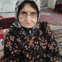 نیازمند پرستار برای خانوم مسن