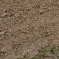 زمین کشاورزی