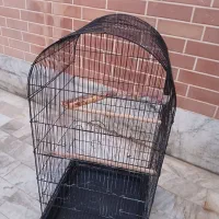 قفس پرنده درحد نو