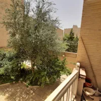 سه خوابه شاهنشین( باغ زیار)|فروش آپارتمان|اصفهان, باغ زیار|دیوار