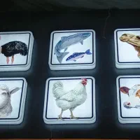 خردکن مرغ و ماهی