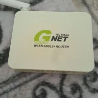 مدم جینت