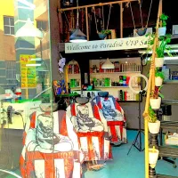 همکار ارایشگر و ماسور و کارآموز جهت درصدی و صندلی