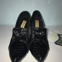 کفش|کیف، کفش، کمربند|زنجان, |دیوار