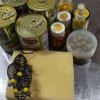 لنسر|ماهیگیری|سقز, |دیوار