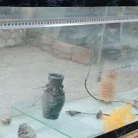 اکواریوم فروشی