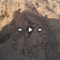 توافقی|خدمات باغبانی و درختکاری|انزل, |دیوار