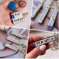 جاسویچی پلاک