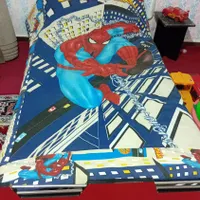 روتختی مرد عنکبوتی یک نفره