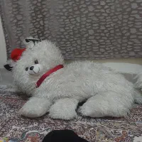 عروسک های بزرگ