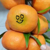 نارنگی ژاپنی بسیار شیرین