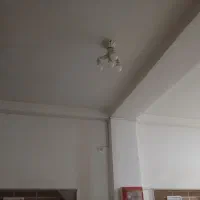 لامپ های شاخه ای زیبا|لامپ و چراغ|آق قلا, |دیوار