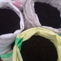 کود گاوی|خدمات باغبانی و درختکاری|فومن, |دیوار