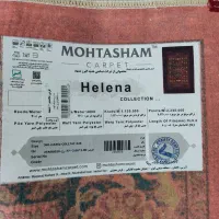 فرش محتشم کاشان|فرش|مشهد, امیریه|دیوار