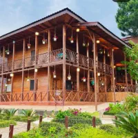 نیروی خانه داری